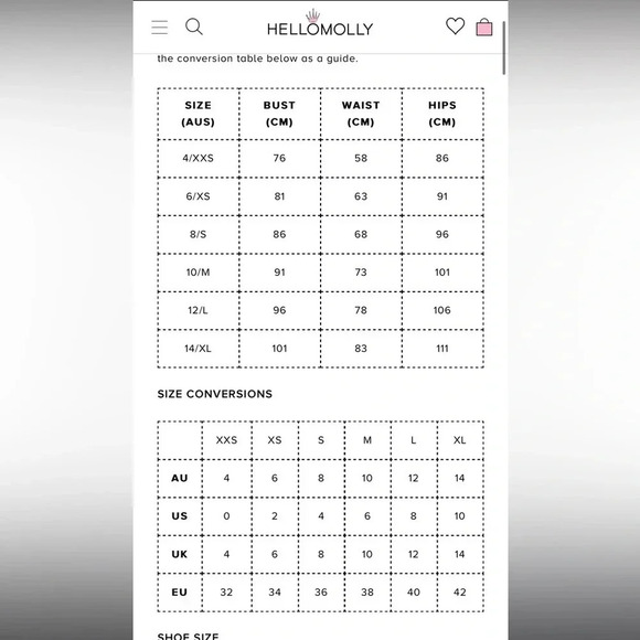 NWT!! Hello Molly - IF THE GOWN FITS DRESS - ROSE - Size Small / US 4 - Picture 6 of 12